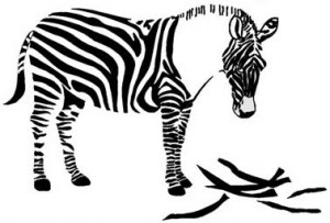 zebra Zebra losing its stripes.